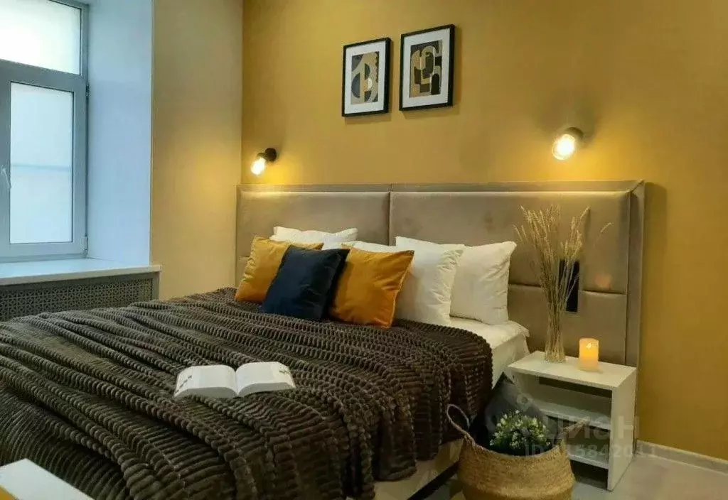 1-к кв. Санкт-Петербург Кузнечный пер., 19-21 (18.0 м) - Фото 1