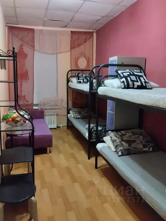 Комната Санкт-Петербург Московский просп., 10-12М - Фото 1
