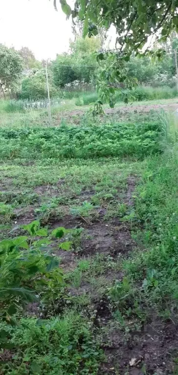 Участок в Московская область, Ступино городской округ, д. Мякинино ул. ... - Фото 1