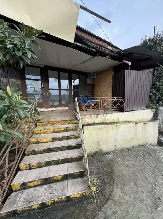 Дом в Краснодарский край, Сочи ул. Декабристов (55 м) - Фото 1