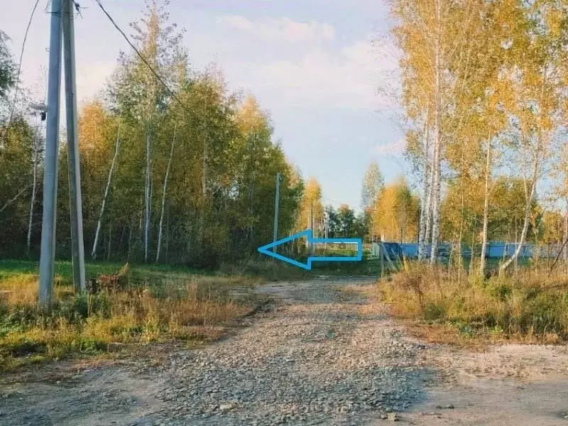 Участок в Новосибирская область, Новосибирский район, Станционный ... - Фото 1