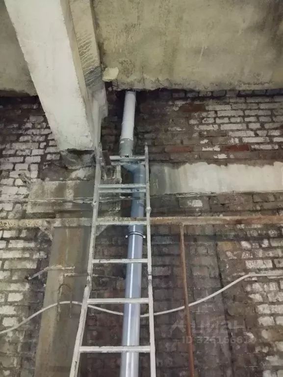 Помещение свободного назначения в Омская область, Омск ул. 10 лет ... - Фото 2