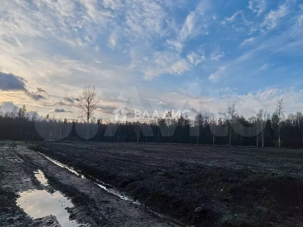 Участок 10,5 сот. (СНТ, ДНП) - Фото 1