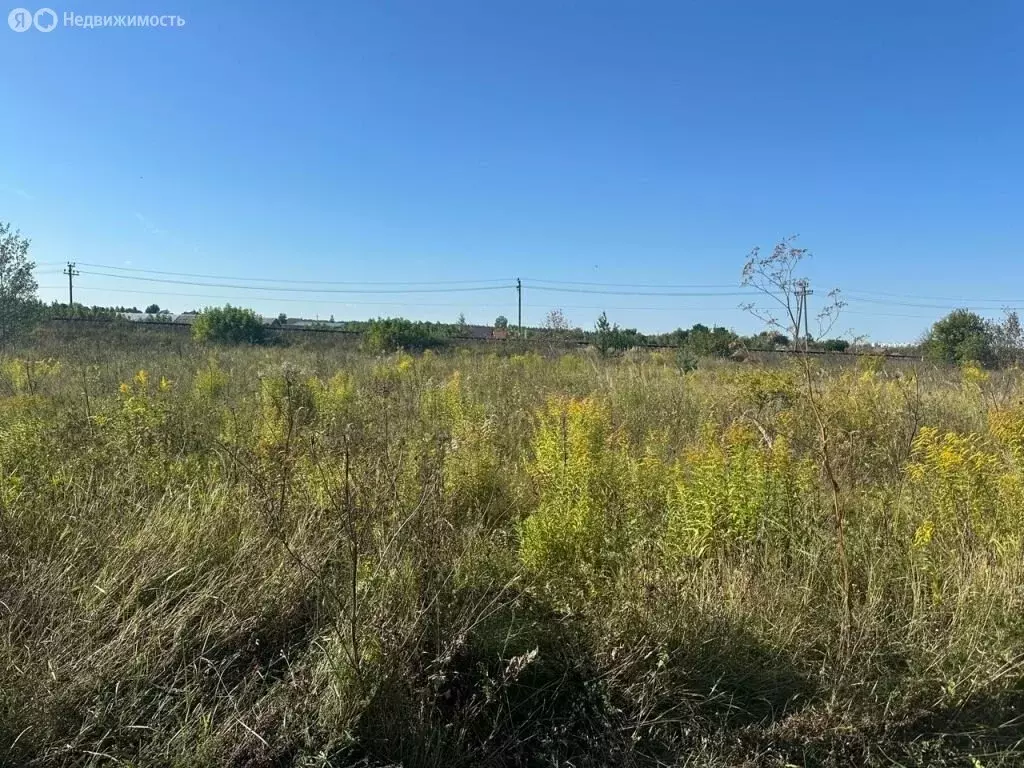 Участок в Орловский муниципальный округ, деревня Усть-Рыбница, КП ... - Фото 1