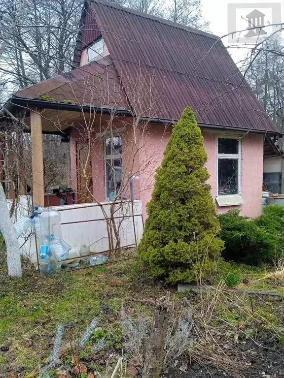 Дом в Калининградская область, Калининград Лесное СНТ, ул. Садовая (10 ... - Фото 0