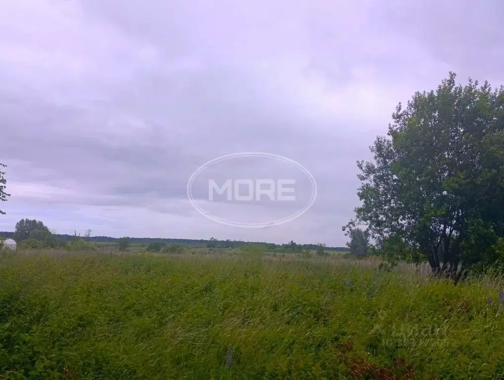 Участок в Калининградская область, Гурьевский муниципальный округ, ... - Фото 2