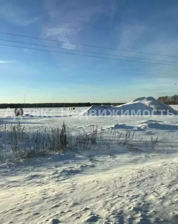 Участок в Тюменская область, Тюменский район, с. Каменка  (9.16 сот.) - Фото 1