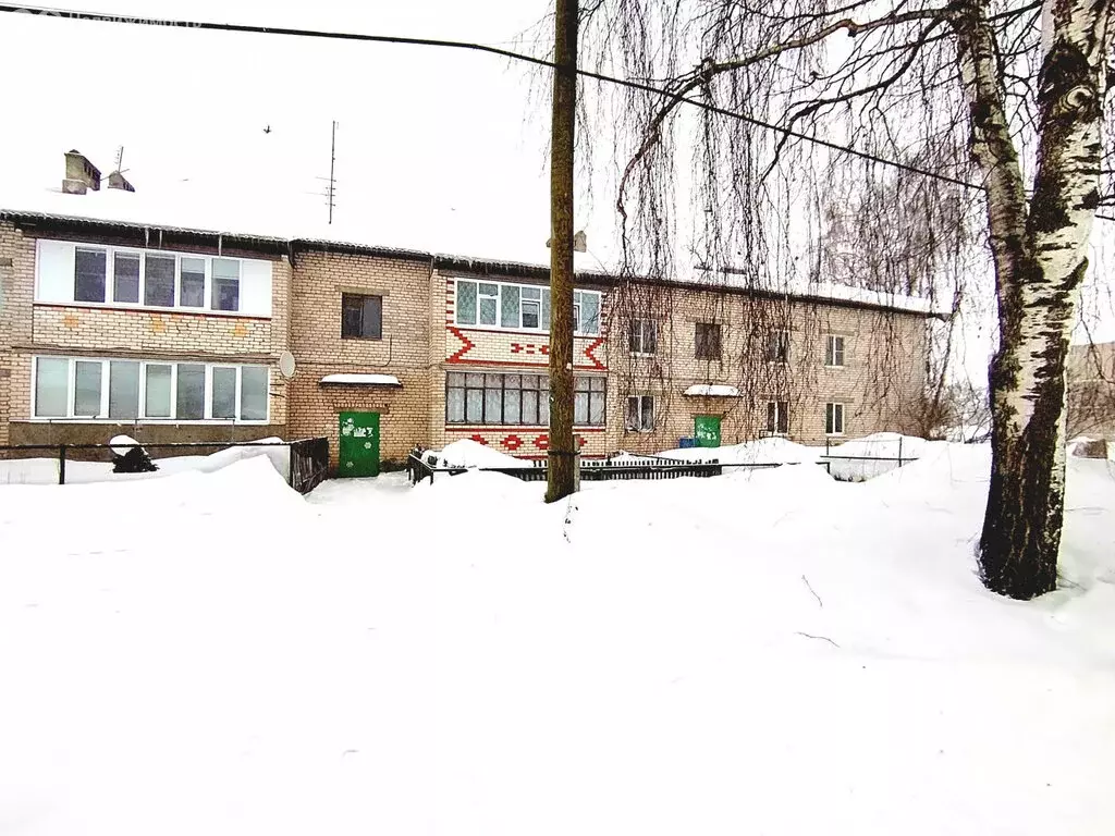 1-комнатная квартира: село Чернуха, Школьная улица, 21 (43.1 м) - Фото 1