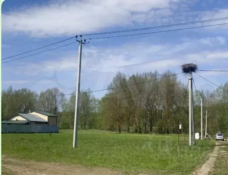 Участок в Московская область, Шаховская муниципальный округ, д. ... - Фото 1