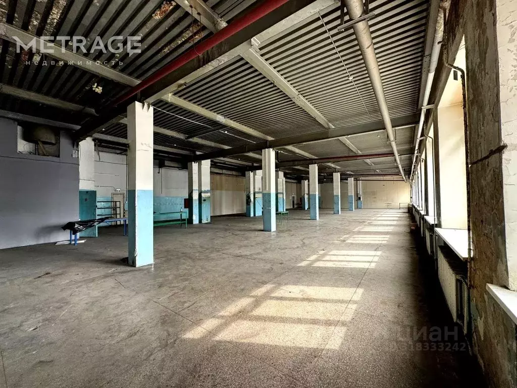 Помещение свободного назначения в Новосибирская область, Новосибирск ... - Фото 0