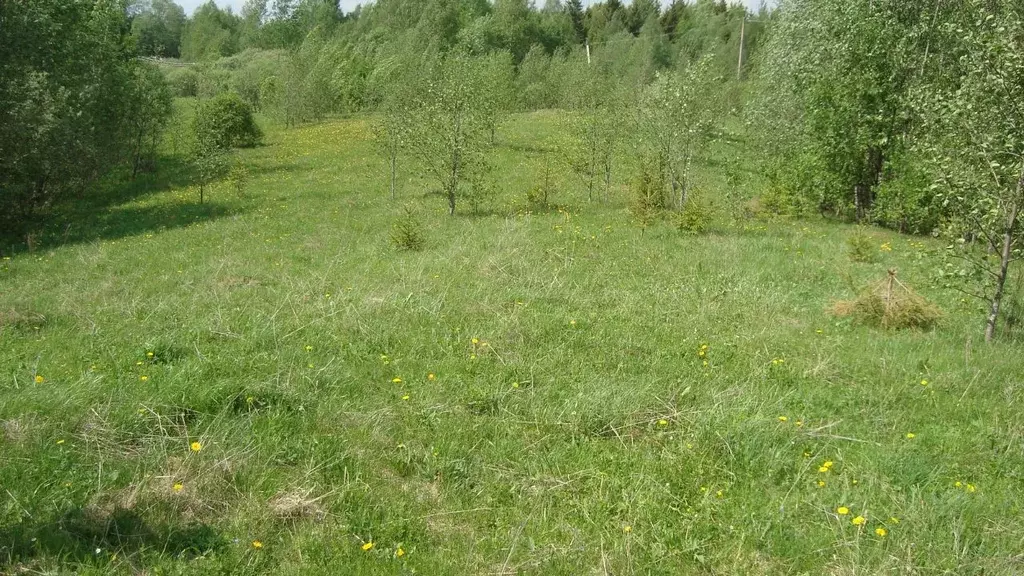 Участок в Новгородская область, Демянский район, Полновское с/пос  ... - Фото 1