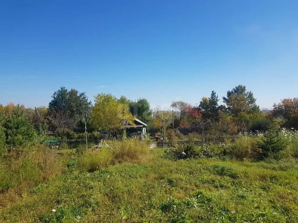 Участок в Амурская область, Благовещенск Преображенское СТ,  (7.58 ... - Фото 1