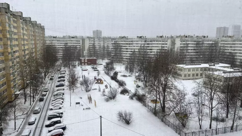 3-к кв. Санкт-Петербург ул. Композиторов, 26/3 (60.1 м) - Фото 2