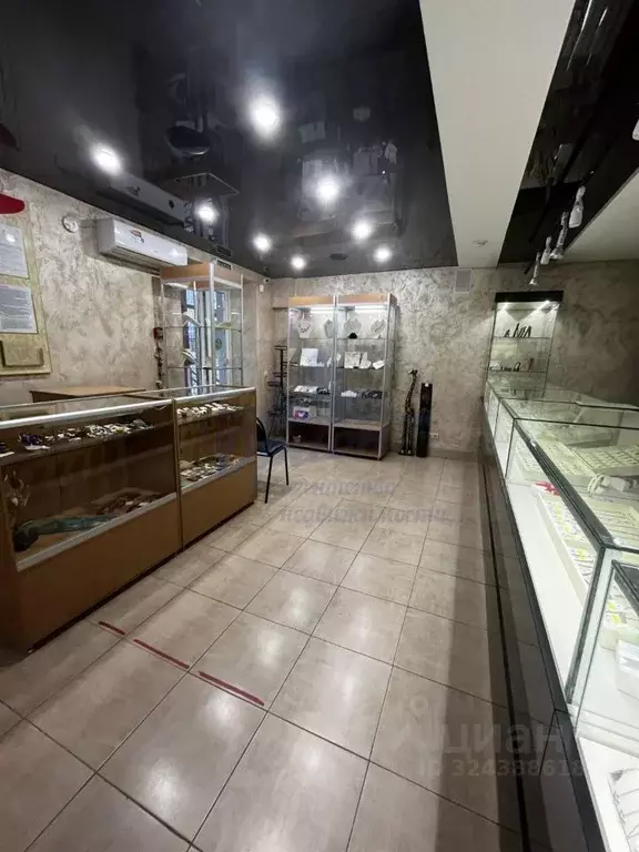 Помещение свободного назначения в Нижегородская область, Богородск ул. ... - Фото 2