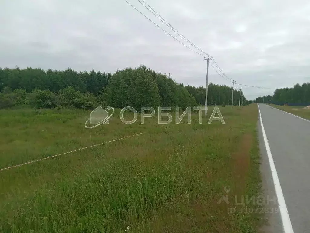 Участок в Тюменская область, Тюмень Поле Чудес-2 садовое товарищество, ... - Фото 1