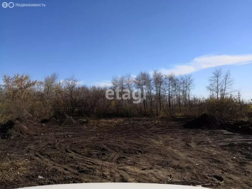 Участок в Новосибирский район, село Толмачёво (10 м) - Фото 1