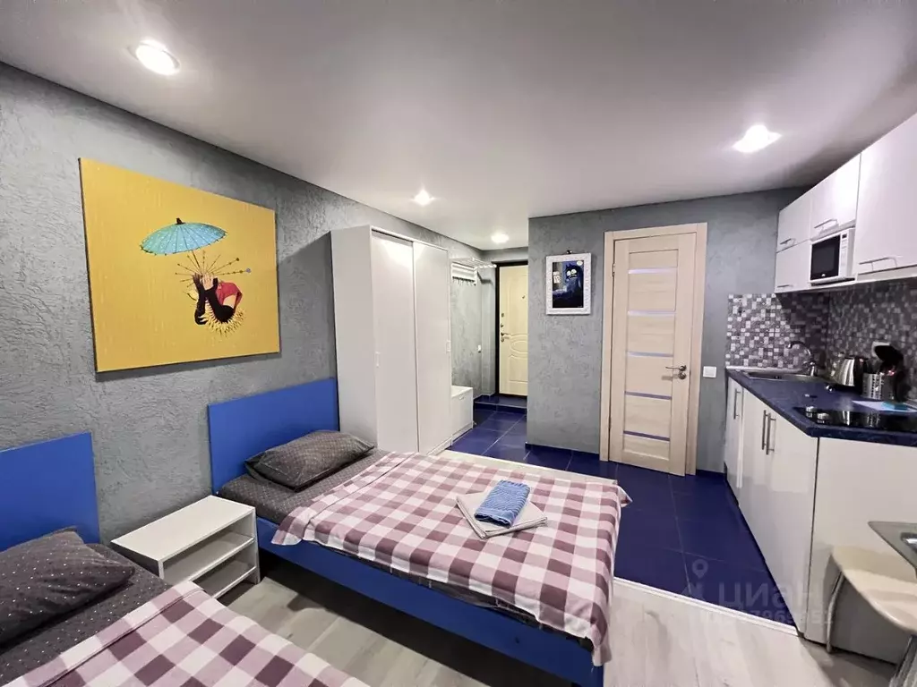 Студия Санкт-Петербург 4-я Советская ул., 8 (20.0 м) - Фото 2