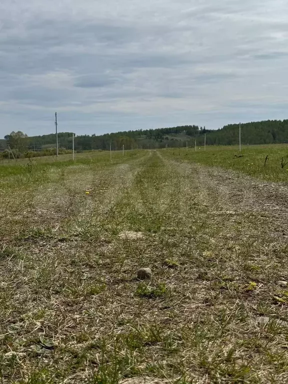 Участок 7 сот. (СНТ, ДНП) - Фото 1