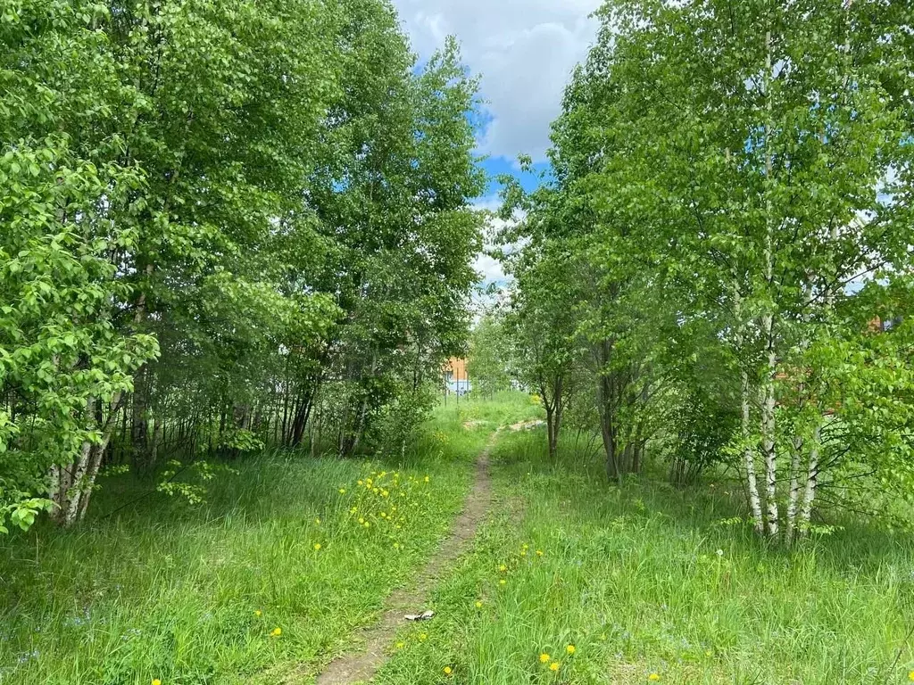 Купить Участок Земли В Поселке Красные Ткачи