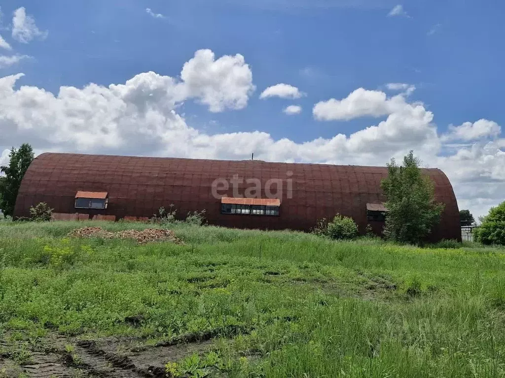 Склад в Алтайский край, Бийск ул. Пригородная, 102 (778 м) - Фото 1