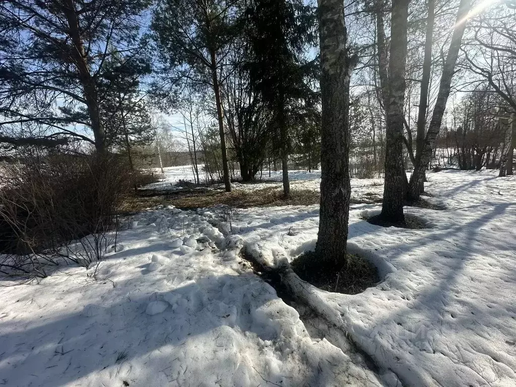 Участок в Московская область, Рузский муниципальный округ, с. Старо  ... - Фото 1