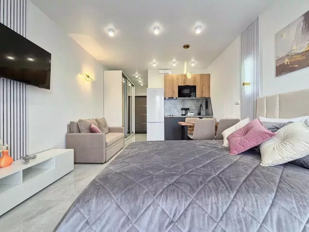 1-к кв. Краснодарский край, Сочи ул. Искры, 88к2 (25.0 м) - Фото 1