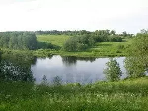 Участок в Новгородская область, Валдайский район, Едровское с/пос, д. ... - Фото 0