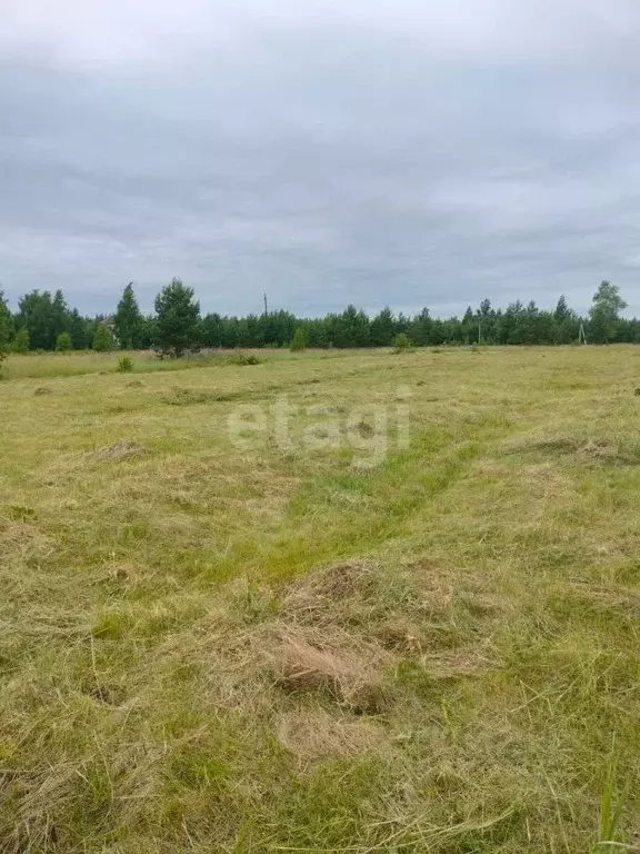 Участок в Липецкая область, Грязинский муниципальный округ, с. ... - Фото 2