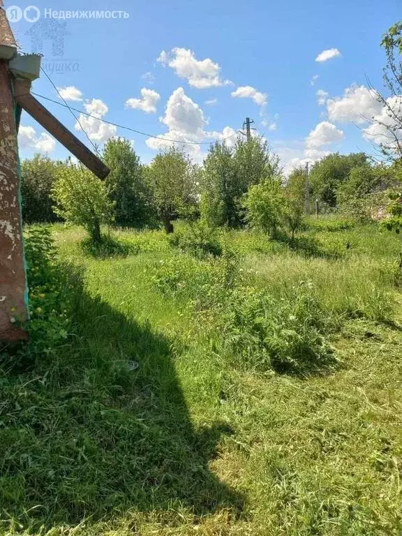 Дом в Новохреновое, Степная улица (52 м) - Фото 0