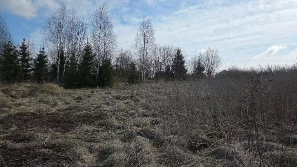 Участок в Московская область, Сергиево-Посадский городской округ, д. ... - Фото 1
