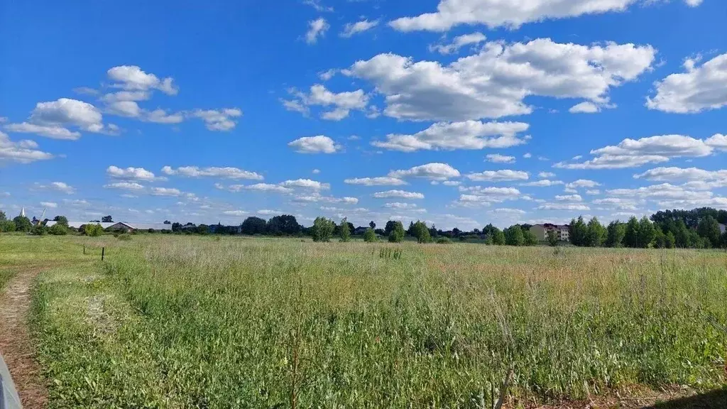 Участок в Нижегородская область, Арзамас городской округ, Выездное рп, ... - Фото 0