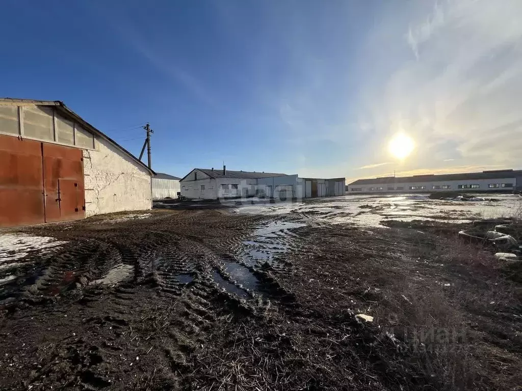 Склад в Белгородская область, Белгородский район, Разумное рп ул. ... - Фото 0