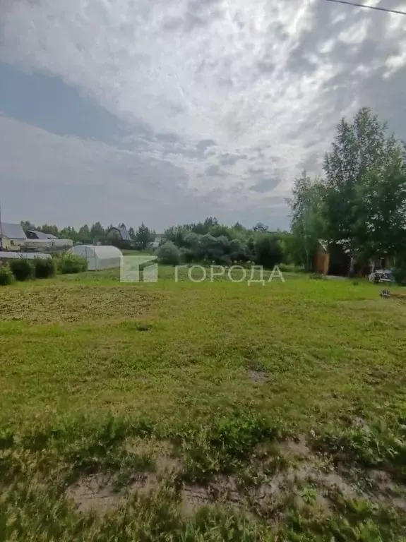 Участок в Новосибирская область, Мошковский район, Энергия СНТ 376 ... - Фото 1