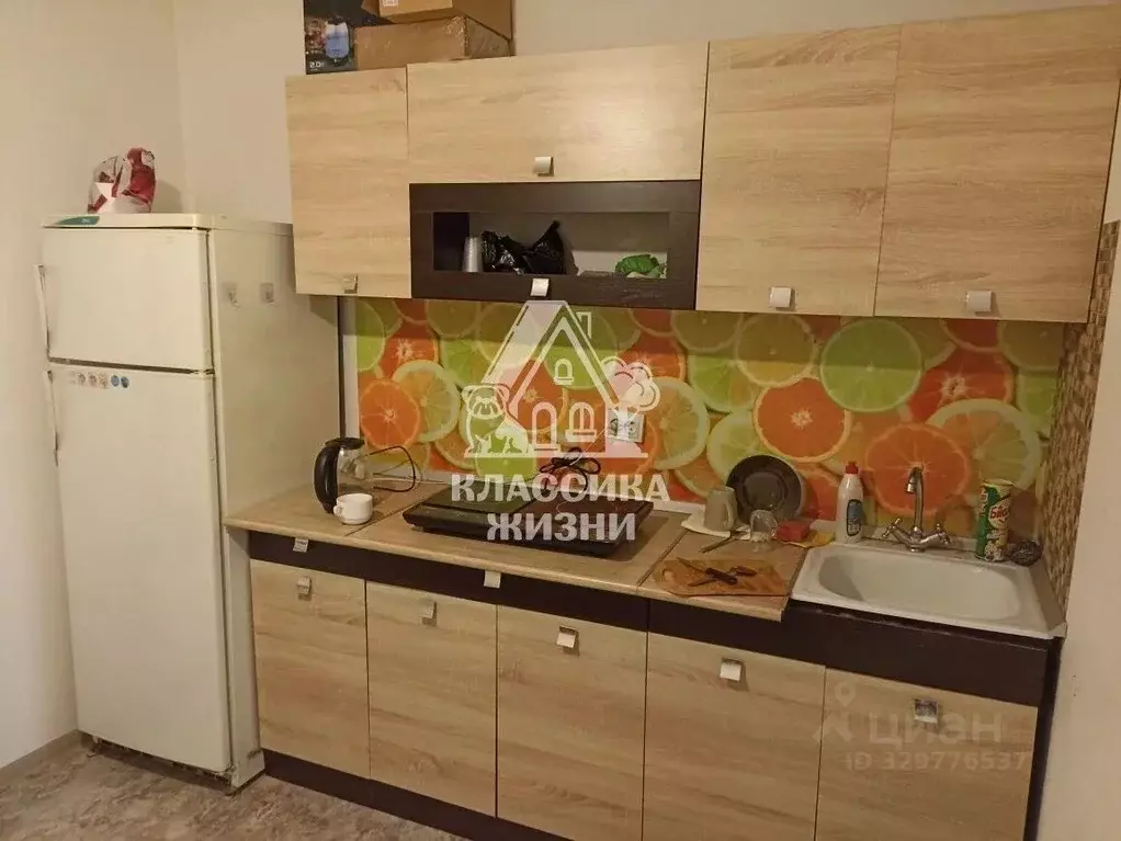 1-к кв. Нижегородская область, Дзержинск городской округ, Горбатовка ... - Фото 1