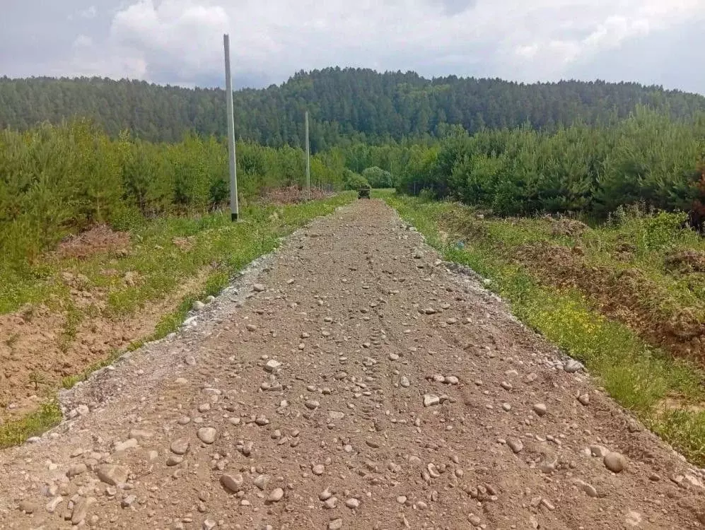 Участок в Иркутская область, Иркутский муниципальный округ, д. ... - Фото 0