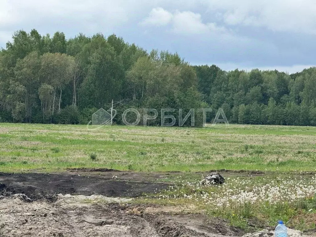 Участок в Тюменская область, Тюменский район, с. Кулига  (7.5 сот.) - Фото 1