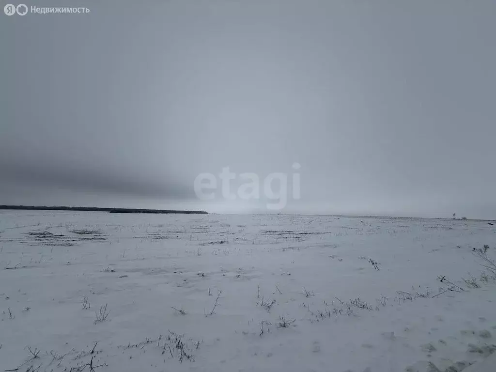 Участок в Белгородская область, Яковлевский муниципальный округ, село ... - Фото 2