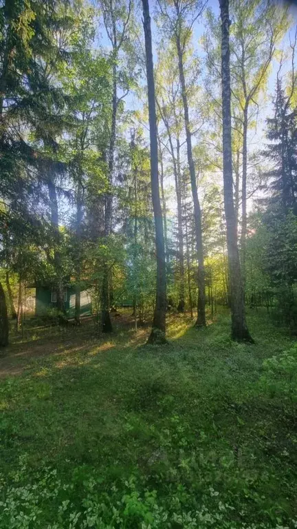 Дом в Московская область, Чехов Серпуховская ул., 10 (70 м) - Фото 1