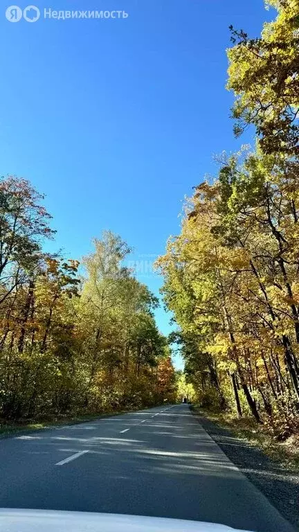 Участок в Пензенский район, Саловский сельсовет (6 м) - Фото 0