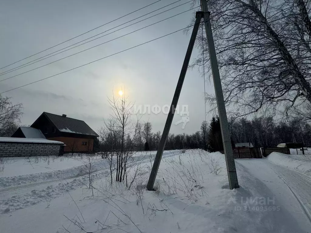 Участок в Новосибирская область, Новосибирский район, с. Боровое ул. ... - Фото 0