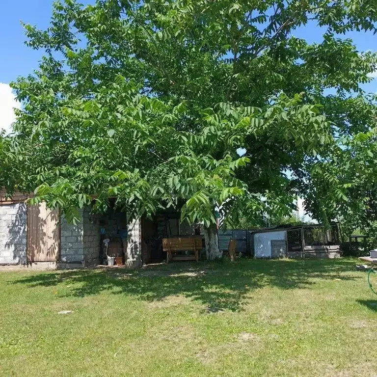 Участок в Новосибирская область, Колыванский район, Ермак СНТ 273 ... - Фото 2