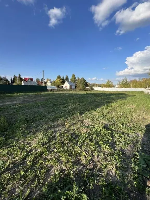 Участок в Новосибирская область, Новосибирский район, Морской ... - Фото 1