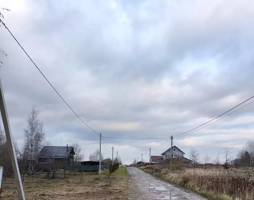 Участок в Калининградская область, Зеленоградский муниципальный округ, ... - Фото 1