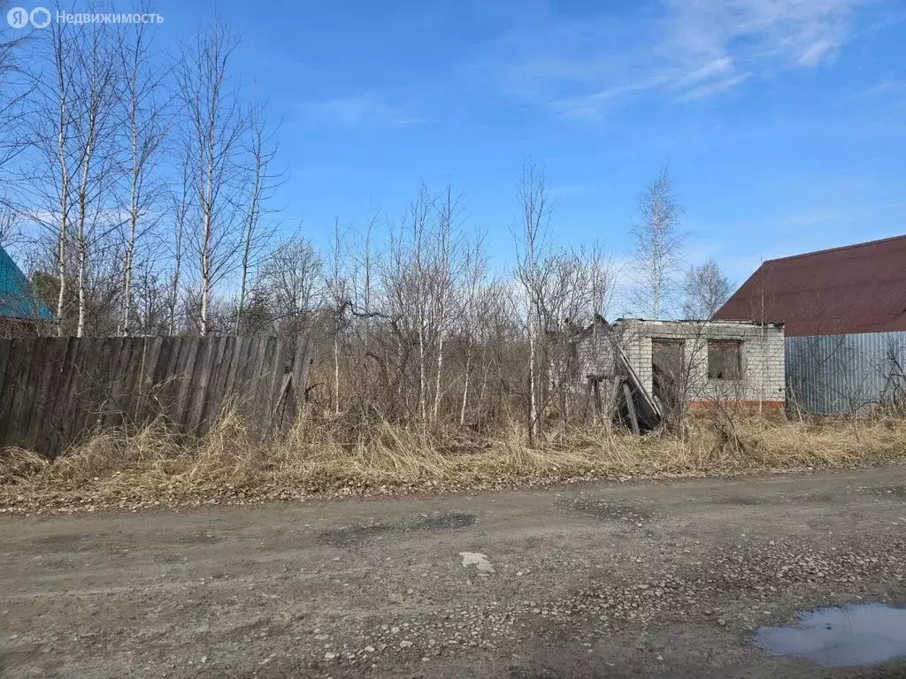 Участок в Башковское сельское поселение, дачное товарищество ... - Фото 1