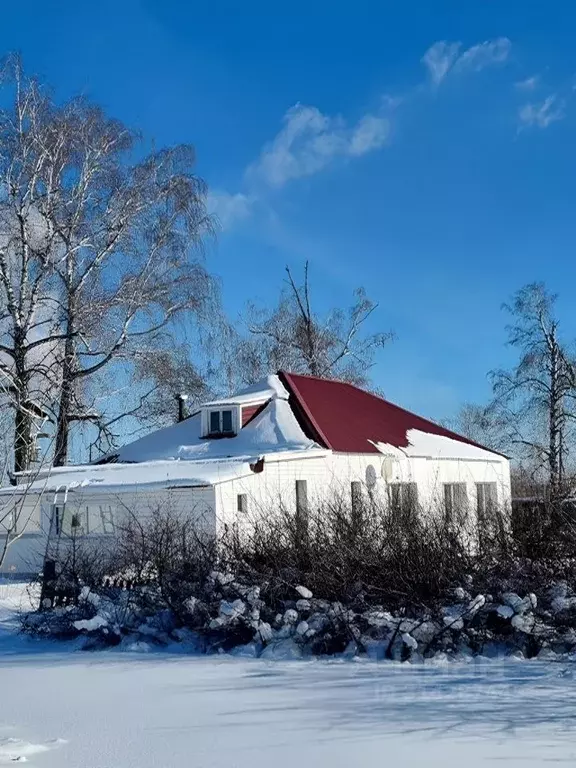 Дом в Алтайский край, Павловский район, с. Павловск Светлый пер. (92 ... - Фото 0