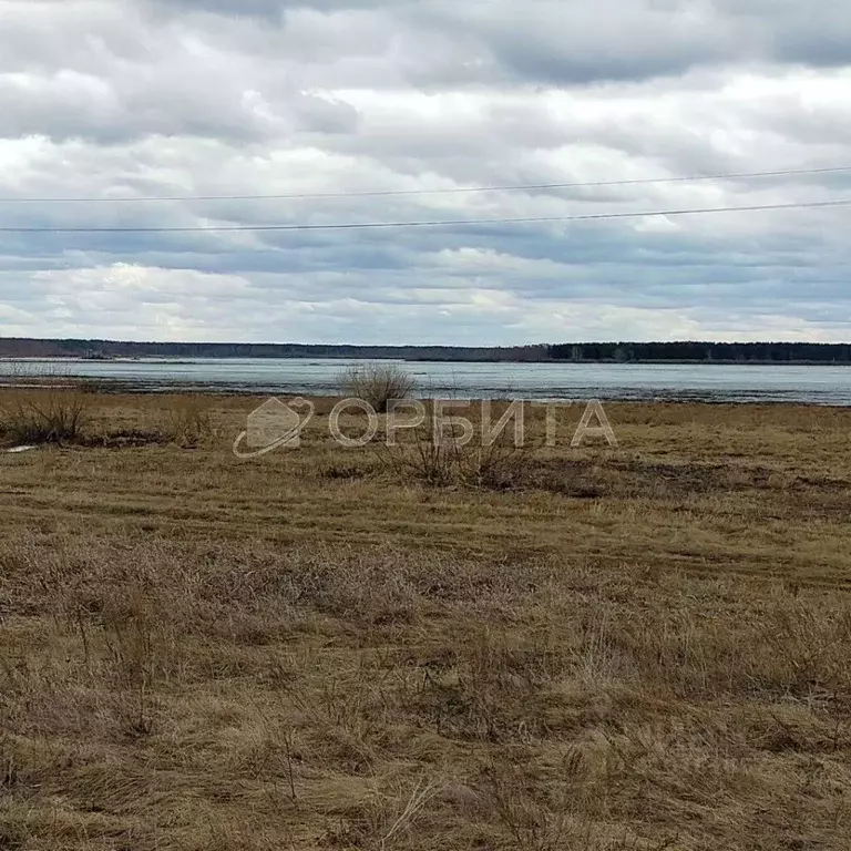 Участок в Тюменская область, Тюменский район, Архип садовое общество  ... - Фото 1