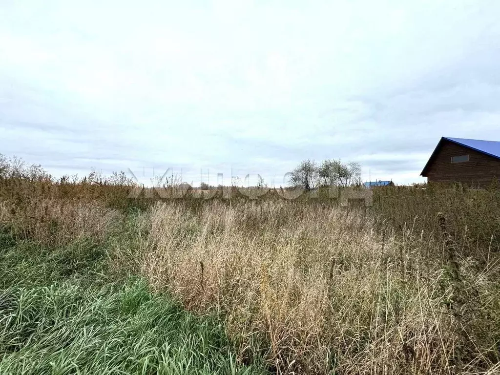 Участок в Новосибирская область, Колыванский район, д. Таловка ... - Фото 1
