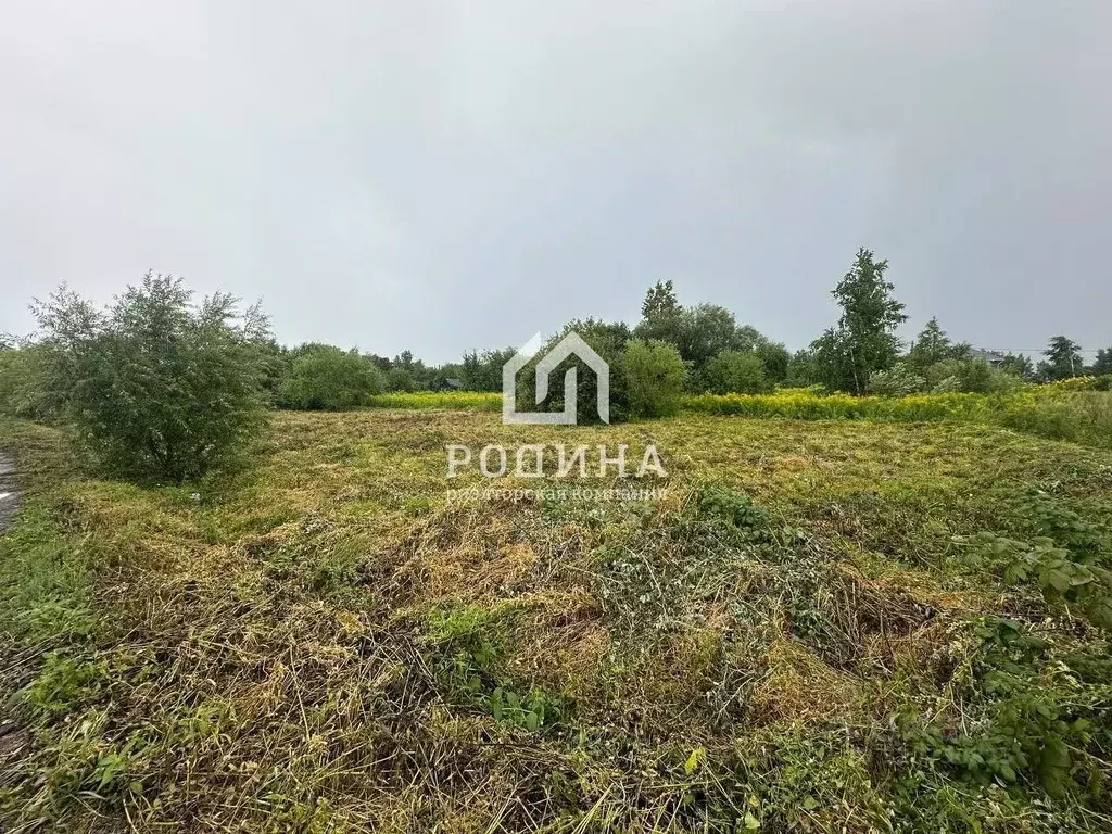 Участок в Хабаровский край, Хабаровский район, Тополевское с/пос, с. ... - Фото 2