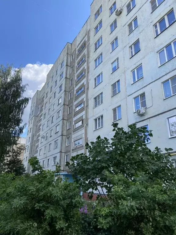 3-к кв. Ивановская область, Иваново ул. 10 Августа, 56 (63.0 м) - Фото 1