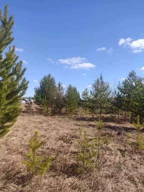 Участок в Кировская область, Киров городской округ, д. Эсауловы  (12.0 ... - Фото 0